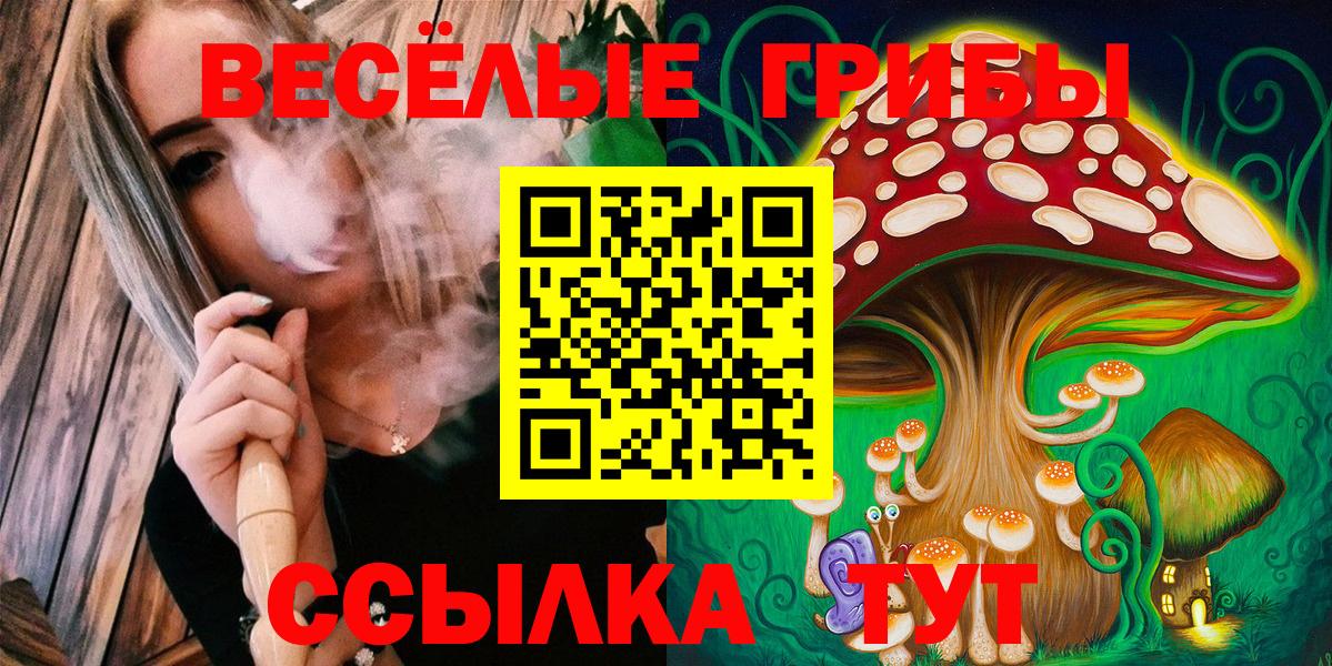 Галлюциногенные грибы Psilocybine cubensis Кунгур