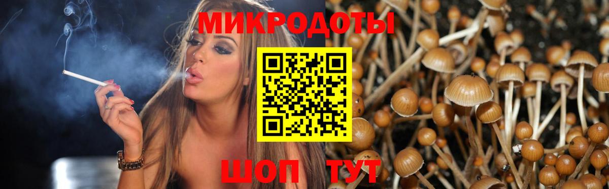 Галлюциногенные грибы Psilocybe  Вход с VPN  Кунгур 